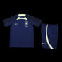 Ensemble Brésil