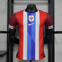 MAILLOT NORVEGE DOMICILE 2024/2025 Version Player