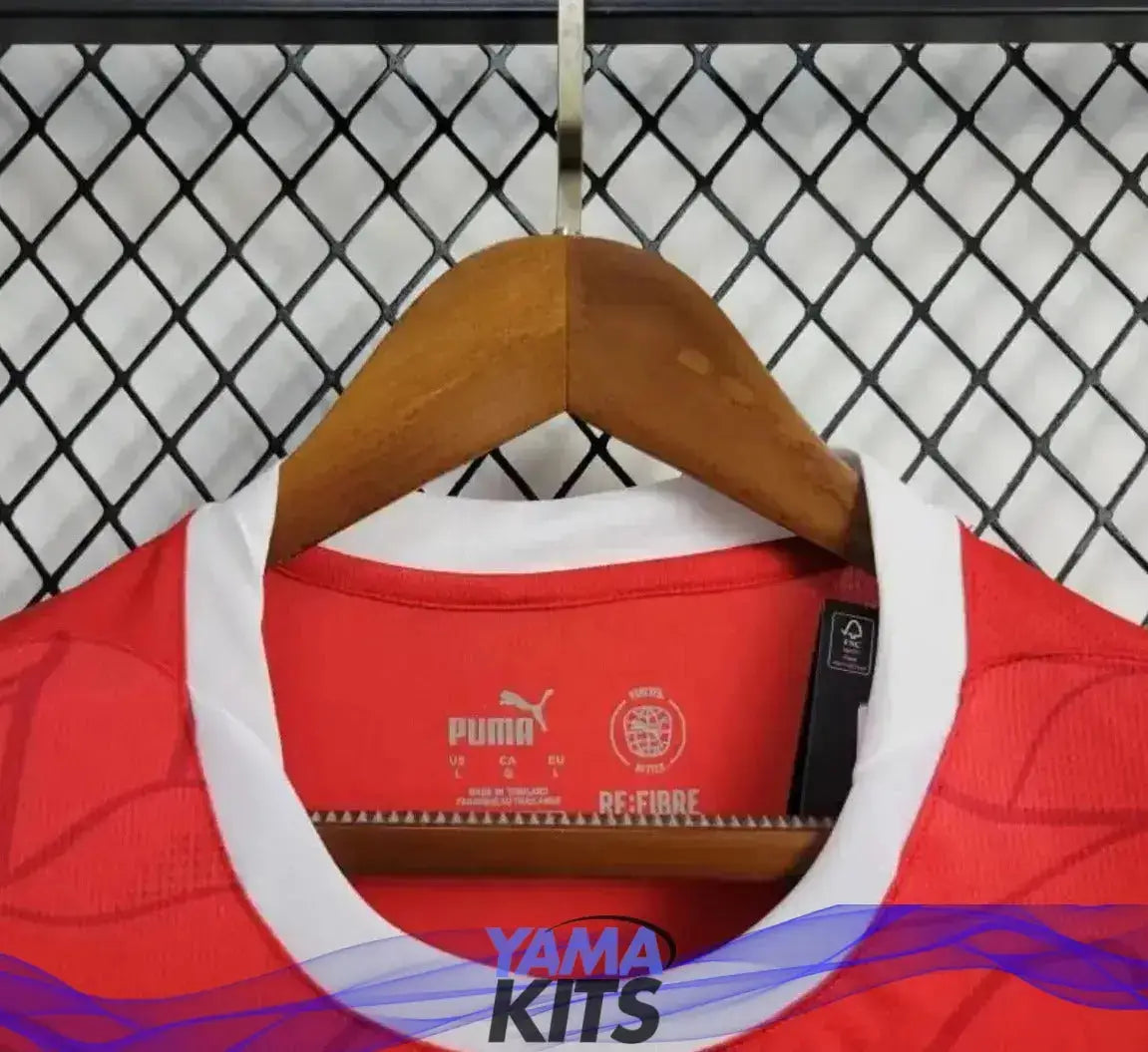 Maillot de l’Autriche Domicile « Rouge » Version Fan 2024/2025 YamaKits Foot