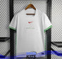 Maillot du Nigeria Domicile Version fan 2024/2025