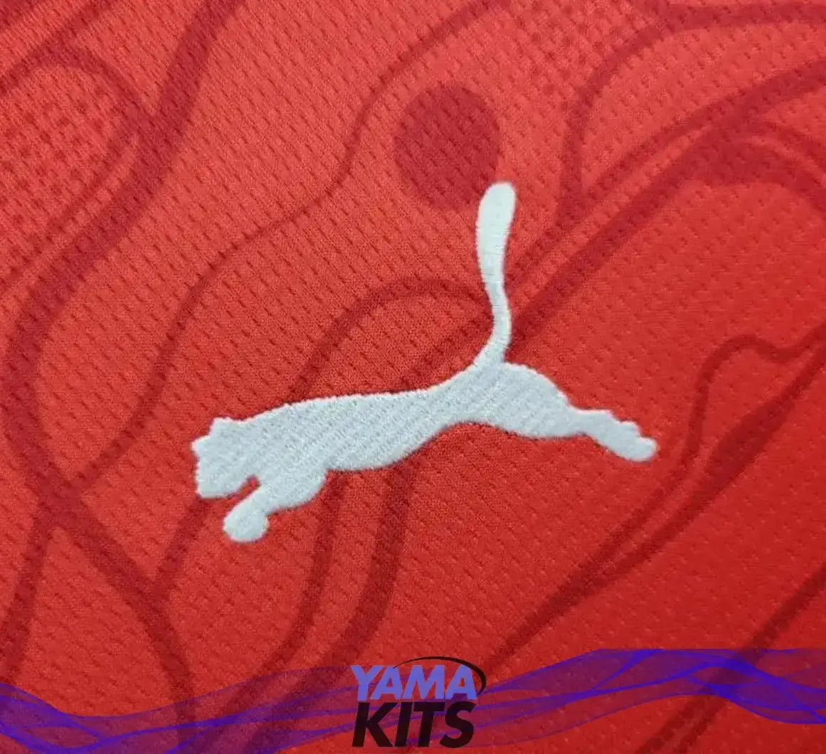 Maillot de l’Autriche Domicile « Rouge » Version Fan 2024/2025 YamaKits Foot